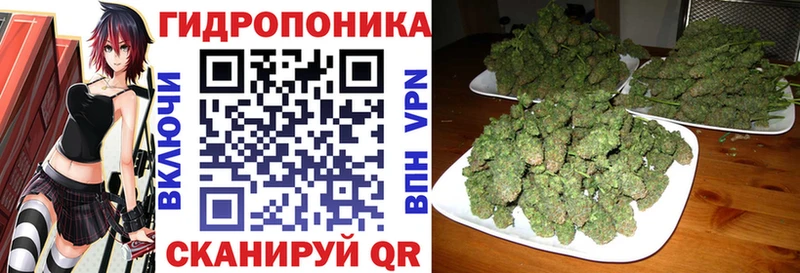 Названия наркотиков Слюдянка Галлюциногенные грибы  КОКАИН  A PVP  МДМА  ГАШИШ  МАРИХУАНА  ссылка на мегу сайт  Мефедрон  АМФЕТАМИН 