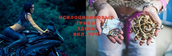 прущий лед Абаза