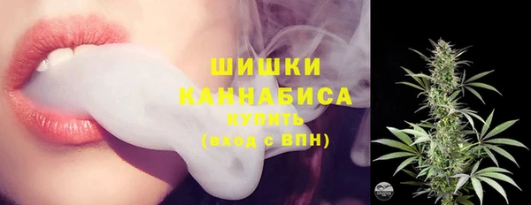 прущий лед Абаза